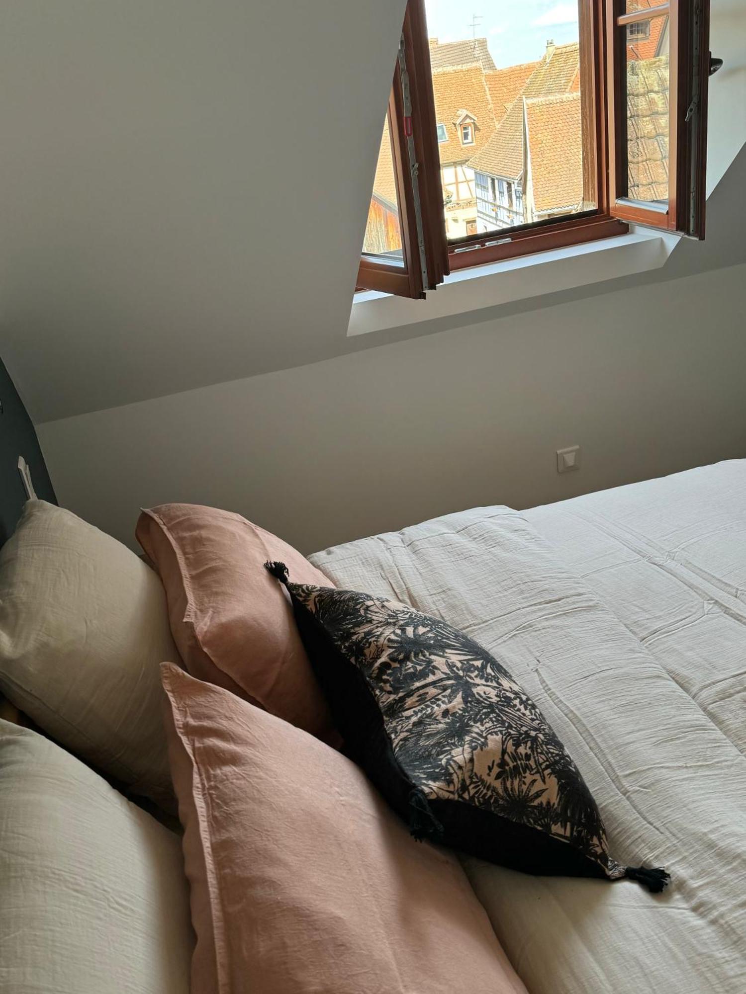 Appartement L'Adresse - Rempart Sud - Eguisheim Avec Garage Prive Extérieur photo