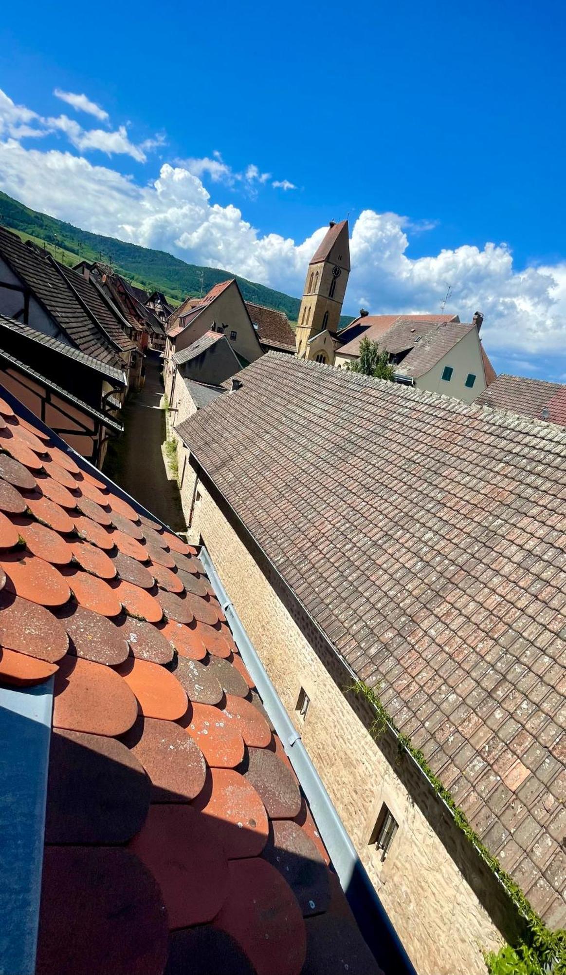 Appartement L'Adresse - Rempart Sud - Eguisheim Avec Garage Prive Extérieur photo